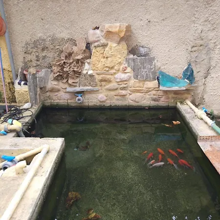 Garden House Elli 2 Min * Rhodes City