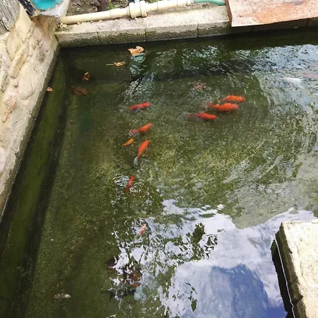 Garden House Elli 2 Min *