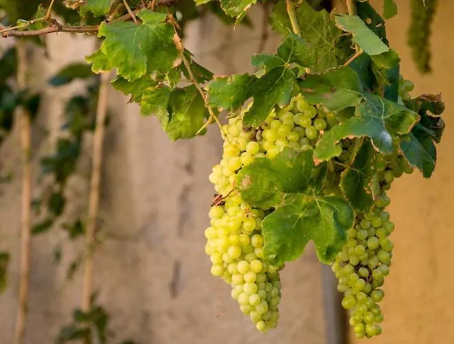 Daire Garden House Elli 2 Min