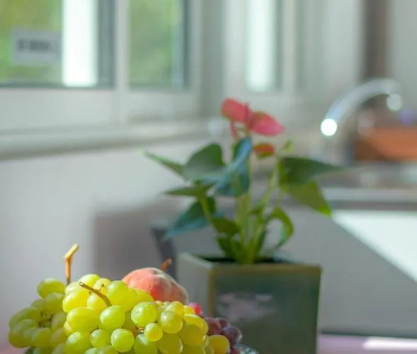 Garden House Elli 2 Min Daire Rhodes City