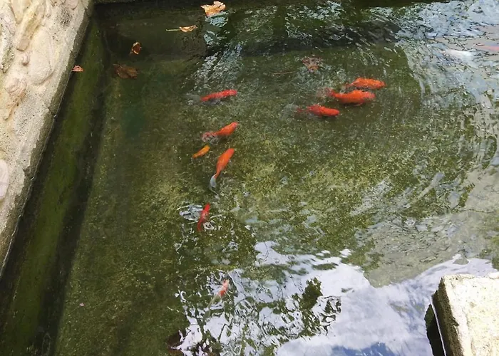 Garden House Elli 2 Min *